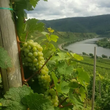 アパート Auszeit Mit Moselblick -klimatisiert- シュヴァイヒ