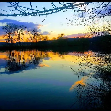 Auszeit Mit Moselblick -klimatisiert- アパート