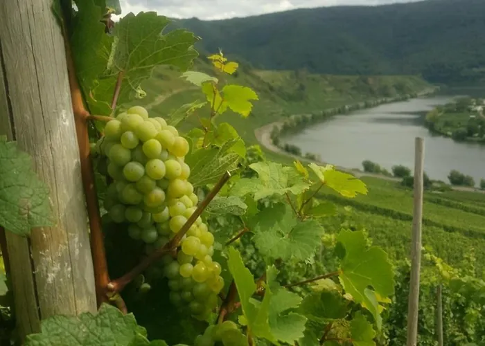 Apartamento Auszeit Mit Moselblick -klimatisiert- Schweich