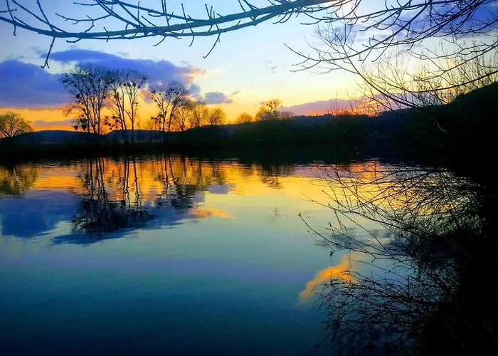 Auszeit Mit Moselblick -klimatisiert- Lejlighed